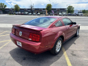 Thumbnail image of 2007 Ford Mustang at ZARA AUTO SALES INC