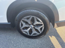 Thumbnail image of 2023 Subaru Forester at PaulThigpenChevroletBuickGmc of Vidalia, GA