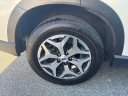 Thumbnail image of 2023 Subaru Forester at PaulThigpenChevroletBuickGmc of Vidalia, GA