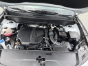 Thumbnail image of 2022 Kia Sorento at KingVw New