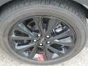 Thumbnail image of 2023 Chevrolet Bolt EUV at Joe Lunghamer Chevrolet