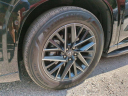 Thumbnail image of 2024 Lexus TX 350 at Wesley Chapel Nissan