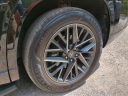 Thumbnail image of 2024 Lexus TX 350 at Wesley Chapel Nissan
