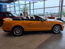 Thumbnail image of 2007 Ford Shelby GT500 at Bates Ford