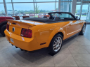 Thumbnail image of 2007 Ford Shelby GT500 at Bates Ford