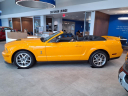 Thumbnail image of 2007 Ford Shelby GT500 at Bates Ford