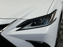 2021 Lexus ES 350 F SPORT at Toyota of Tampa Bay NEW