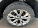 Thumbnail image of 2022 Ford Explorer at Richardson Ford