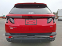 Thumbnail image of 2022 Hyundai TUCSON at Brown Daub Volvo Cars Lehigh Valley