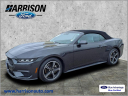 Thumbnail image of 2024 Ford Mustang at Harrison Ford Of Mankato
