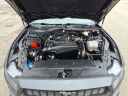 Thumbnail image of 2024 Ford Mustang at Harrison Ford Of Mankato