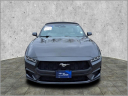 Thumbnail image of 2024 Ford Mustang at Harrison Ford Of Mankato