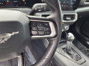 Thumbnail image of 2024 Ford Mustang at Harrison Ford Of Mankato