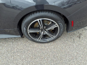 Thumbnail image of 2024 Ford Mustang at Harrison Ford Of Mankato