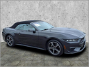 Thumbnail image of 2024 Ford Mustang at Harrison Ford Of Mankato