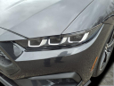 Thumbnail image of 2024 Ford Mustang at Harrison Ford Of Mankato
