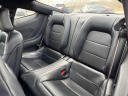 Thumbnail image of 2024 Ford Mustang at Burkart Ford