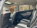 Thumbnail image of 2019 Subaru Crosstrek at Classic Nissan - Newport News