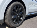 Thumbnail image of 2022 Kia Carnival at Northstar Mitsubishi