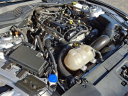 Thumbnail image of 2022 Ford Mustang at Honda Of Toms River