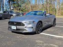 Thumbnail image of 2022 Ford Mustang at Honda Of Toms River