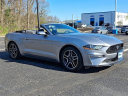 Thumbnail image of 2022 Ford Mustang at Honda Of Toms River