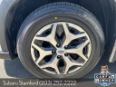 Thumbnail image of 2023 Subaru Forester at Subaru of Stamford