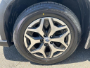 Thumbnail image of 2023 Subaru Forester at Subaru of Stamford