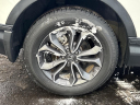 Thumbnail image of 2022 Honda CR-V at Mountaineer Honda