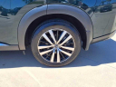 Thumbnail image of 2024 Nissan Pathfinder at Charlie Clark Nissan Brownsville