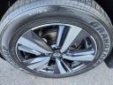 2023 Nissan Rogue Platinum at Northtowne Auto Group