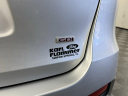 Thumbnail image of 2019 Kia Sorento at KarlFlammerFord - NEW