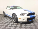 Thumbnail image of 2010 Ford Shelby GT500 at Auto Expo 95