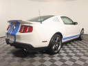 Thumbnail image of 2010 Ford Shelby GT500 at Auto Expo 95