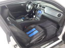Thumbnail image of 2010 Ford Shelby GT500 at Auto Expo 95