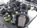 Thumbnail image of 2010 Ford Shelby GT500 at Auto Expo 95