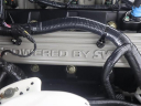 Thumbnail image of 2010 Ford Shelby GT500 at Auto Expo 95