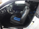 Thumbnail image of 2010 Ford Shelby GT500 at Auto Expo 95