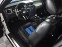 Thumbnail image of 2010 Ford Shelby GT500 at Auto Expo 95