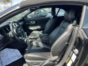 Thumbnail image of 2023 Ford Mustang at South Shore Nissan