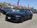 Thumbnail image of 2023 Ford Mustang at South Shore Nissan