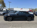 Thumbnail image of 2023 Ford Mustang at South Shore Nissan
