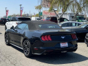 Thumbnail image of 2023 Ford Mustang at South Shore Nissan