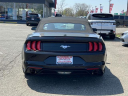 Thumbnail image of 2023 Ford Mustang at South Shore Nissan