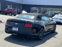 Thumbnail image of 2023 Ford Mustang at South Shore Nissan