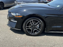 Thumbnail image of 2023 Ford Mustang at South Shore Nissan
