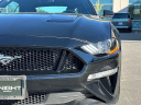Thumbnail image of 2022 Ford Mustang at Elk Grove Acura (ElkGroveAcura