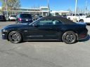Thumbnail image of 2022 Ford Mustang at Elk Grove Acura (ElkGroveAcura