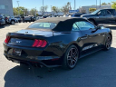 Thumbnail image of 2022 Ford Mustang at Elk Grove Acura (ElkGroveAcura