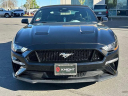 Thumbnail image of 2022 Ford Mustang at Elk Grove Acura (ElkGroveAcura